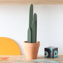 Load image into Gallery viewer, Cactus (sage green)
