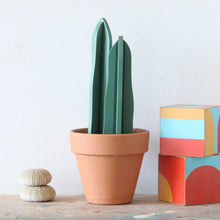 Load image into Gallery viewer, Plant (medium green)

